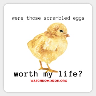 were those eggs worth my life? Magnet